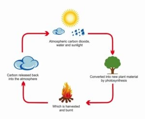illustration of the carbon neutral cycle 